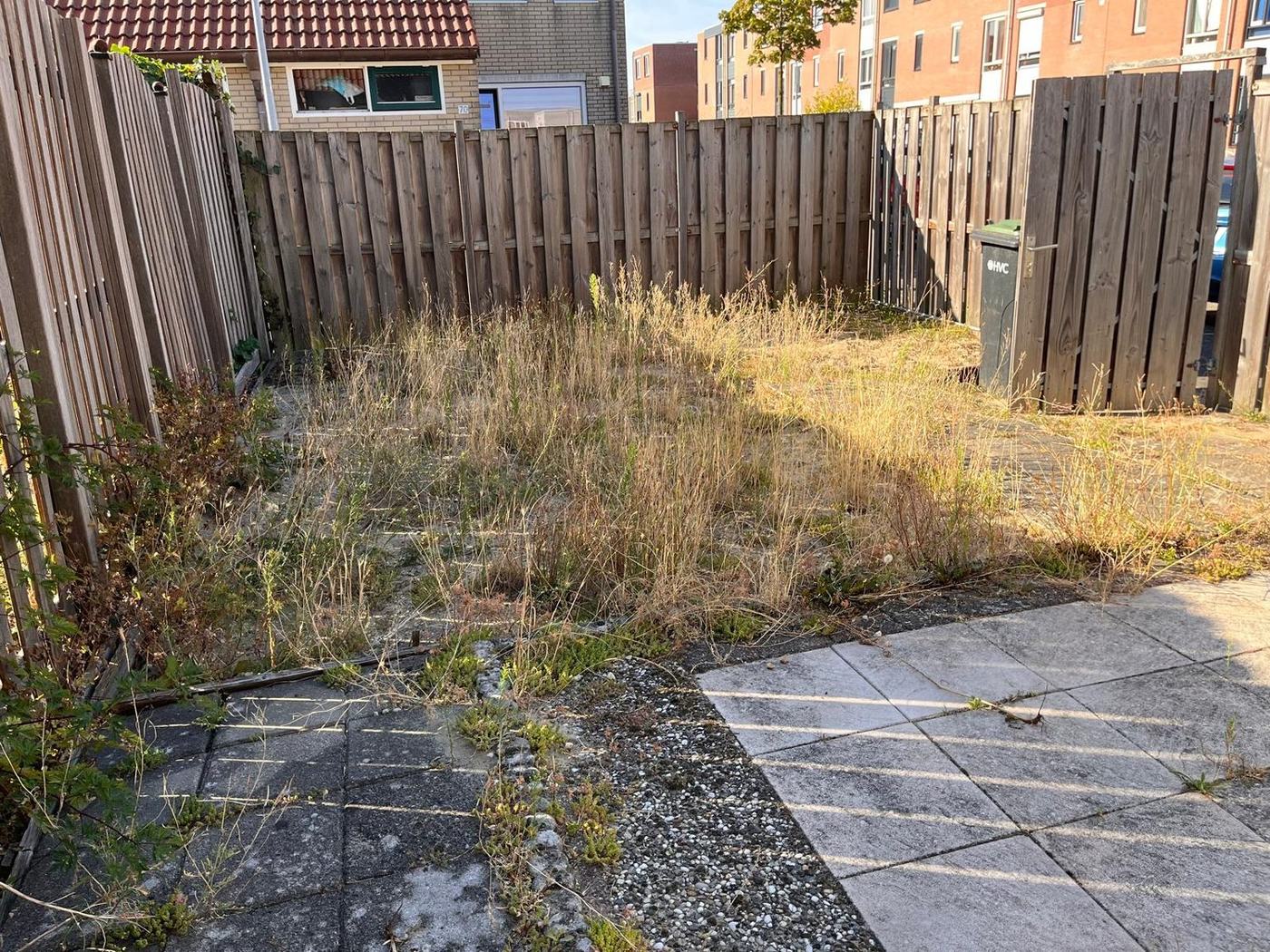 Achtertuin volledig overwoekerd met hoog, verdroogd onkruid tussen de tegels